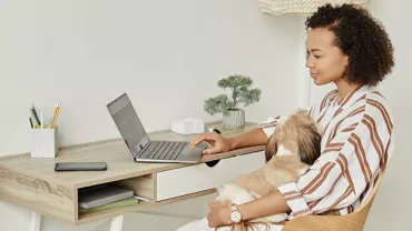 Person working on laptop at a desk with a small dog on lap.